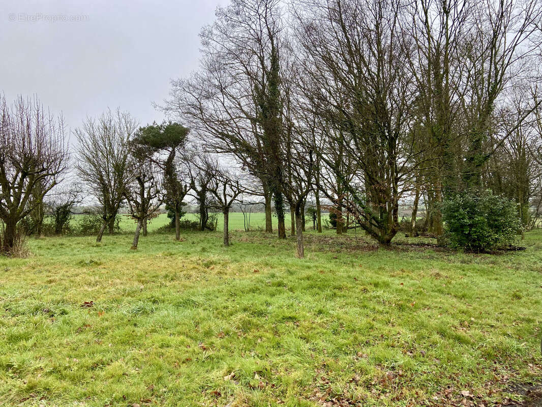 Maison à MARTIGNE-FERCHAUD