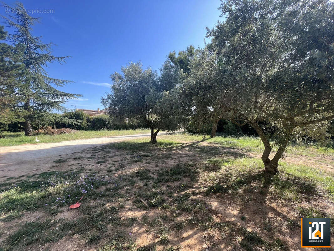 Terrain à SAINT-SIFFRET