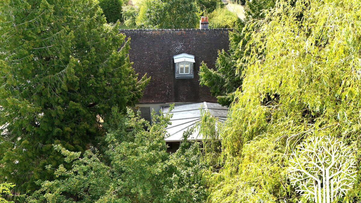 Commerce à BARBIZON