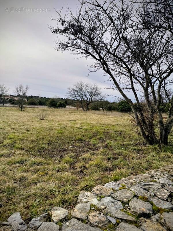 Terrain à SAINT-REMEZE