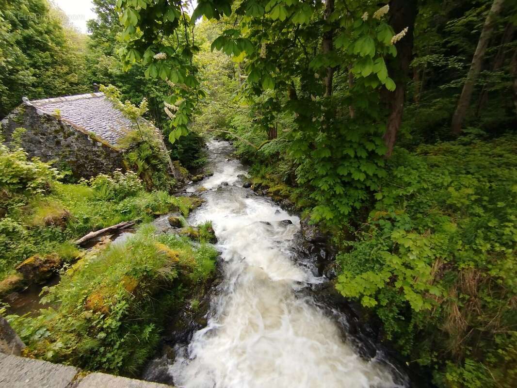 Maison à BESSE-ET-SAINT-ANASTAISE