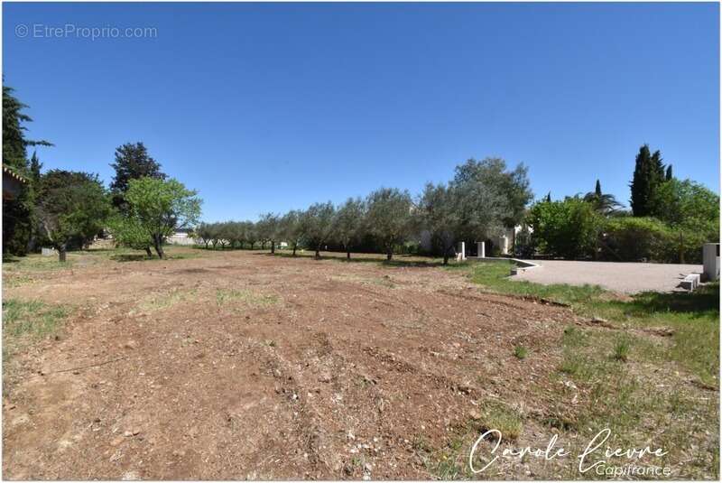 Terrain constructible 659 m² - photo 2