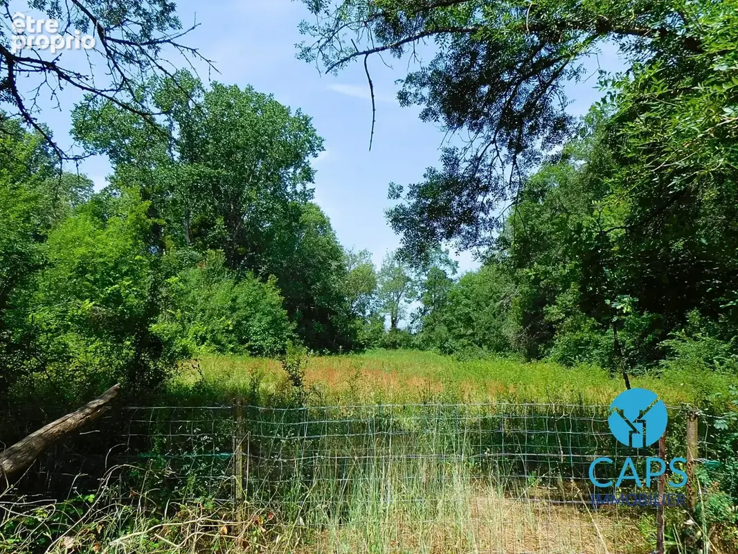 Terrain 5 590 m² à vendre à Reparsac (16200) - photo 2