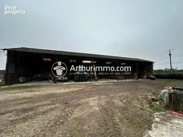 Domaine de Chasse ou Ferme équestre - photo 8
