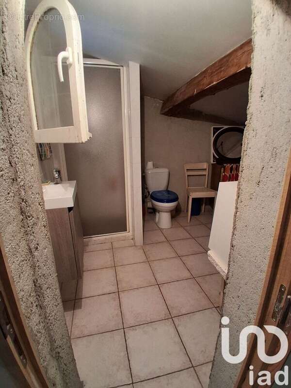 Photo 8 - Maison à SAINT-HILAIRE-DE-LAVIT