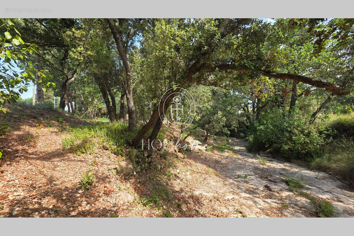 Terrain 1672 m² à Trets  - photo 6