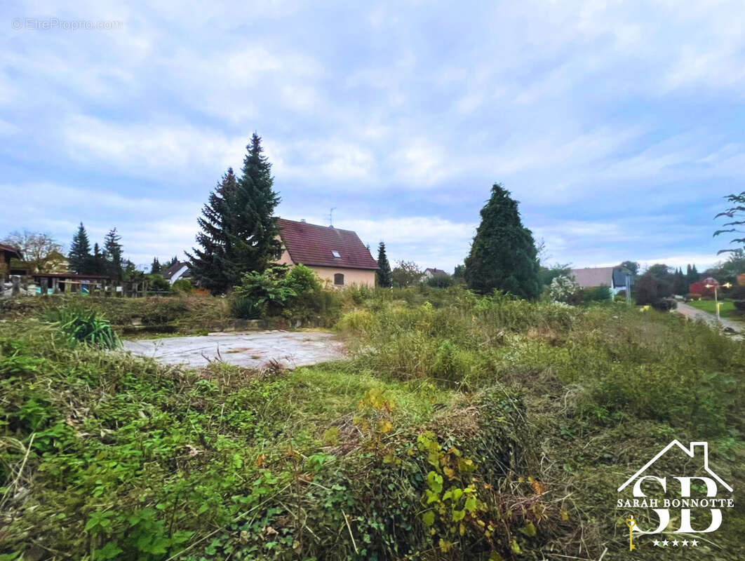 Terrain à BLOTZHEIM