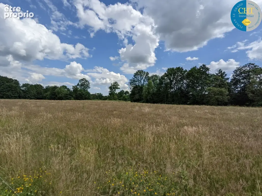 À Plélan-Le-Grand (35), Herbage de 13 000m2 et Parcelle de bois de 2 150m2 - photo 3