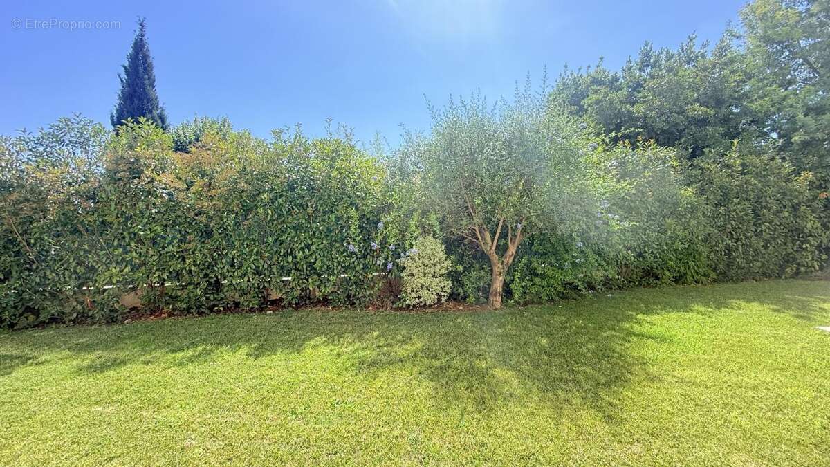 Villa 229M2 piscine terrain garage volume - photo 4