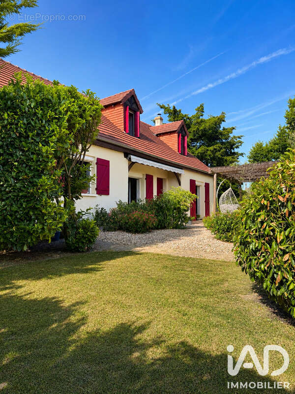 Photo 4