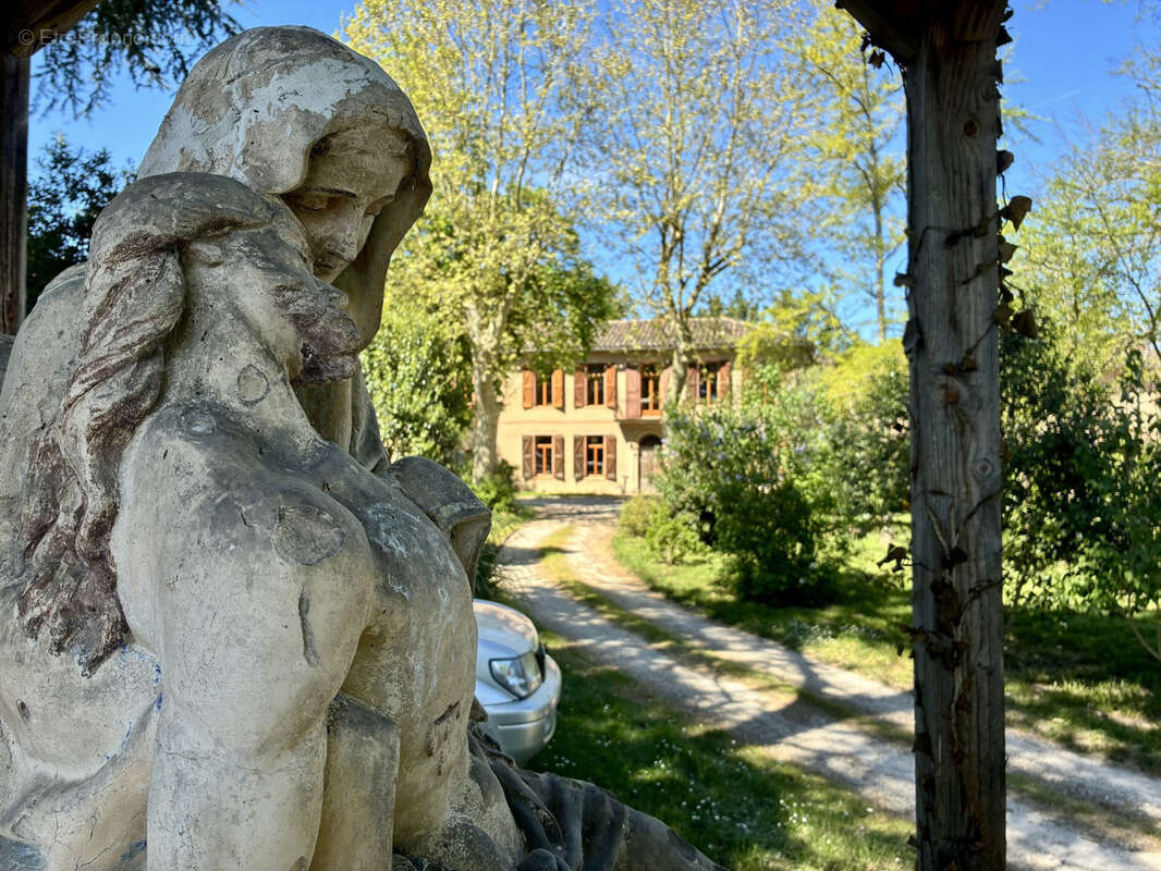 Maison à LISLE-SUR-TARN