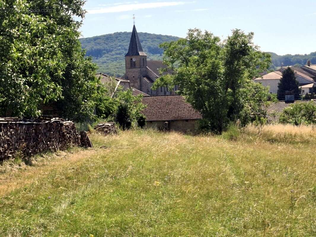 À vendre – Projet de rénovation dans les Vosges (Grand Est) - photo 2