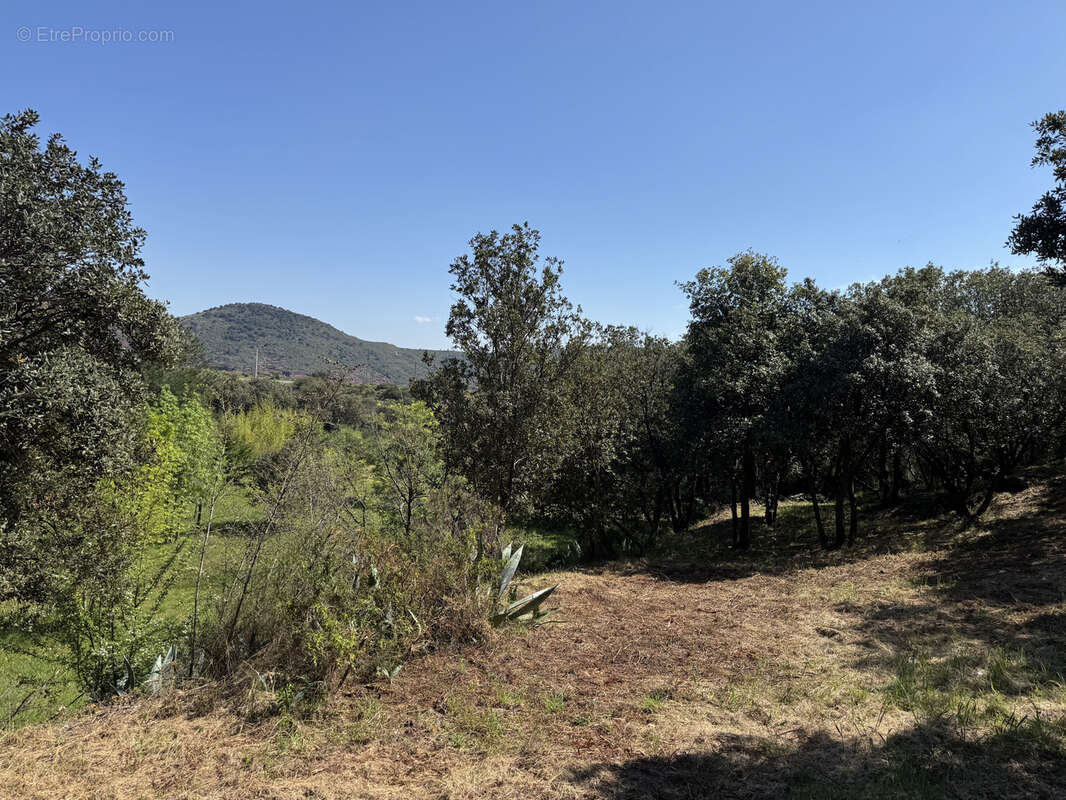 Terrain à SAINT-JEAN-DE-LA-BLAQUIERE