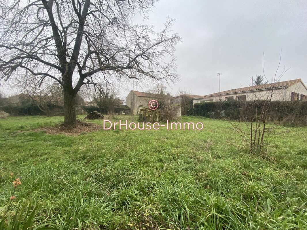 Terrain à LE ROCHEREAU