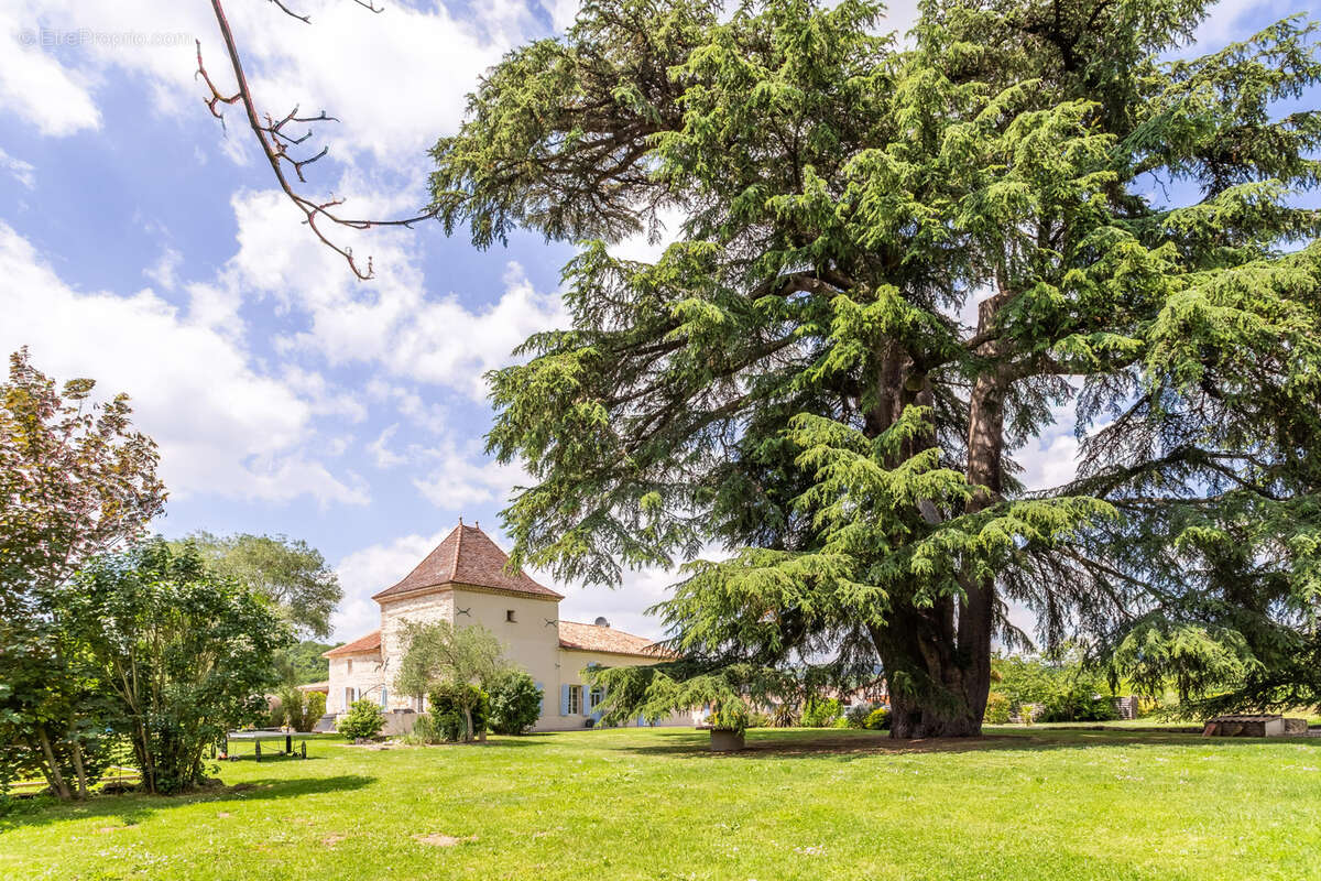 Maison de campagne avec annexes, 3 x piscines et vue - photo 3