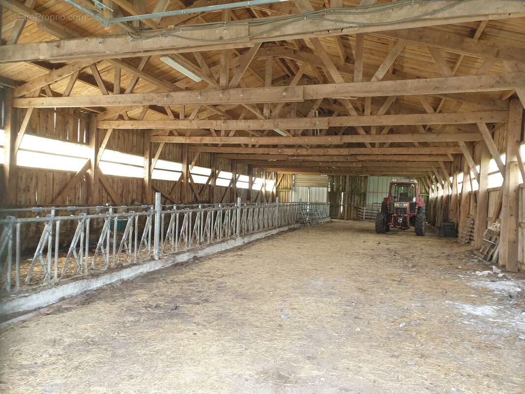 Maison à SAINTE-EULALIE