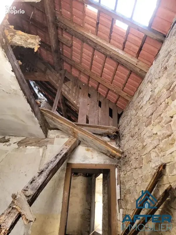 Maison 4 pièces 242 m² à vendre à Baccarat (54120) - photo 3