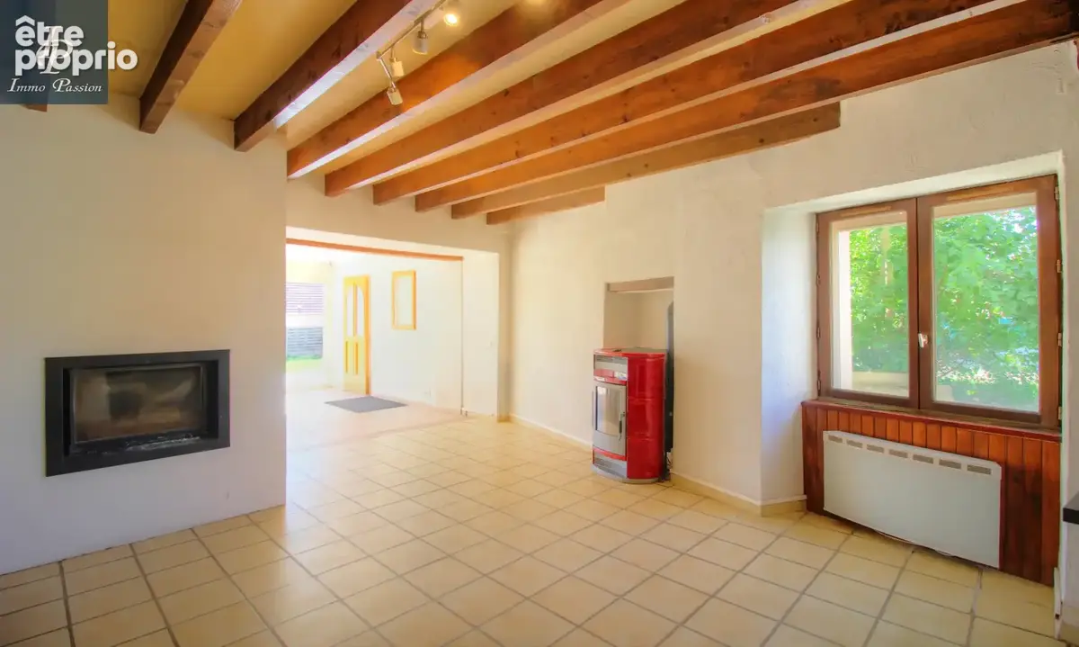 A VENDRE MIREBEAU-SUR-BEZE  : Maison 7 pièces et jardin - photo 16