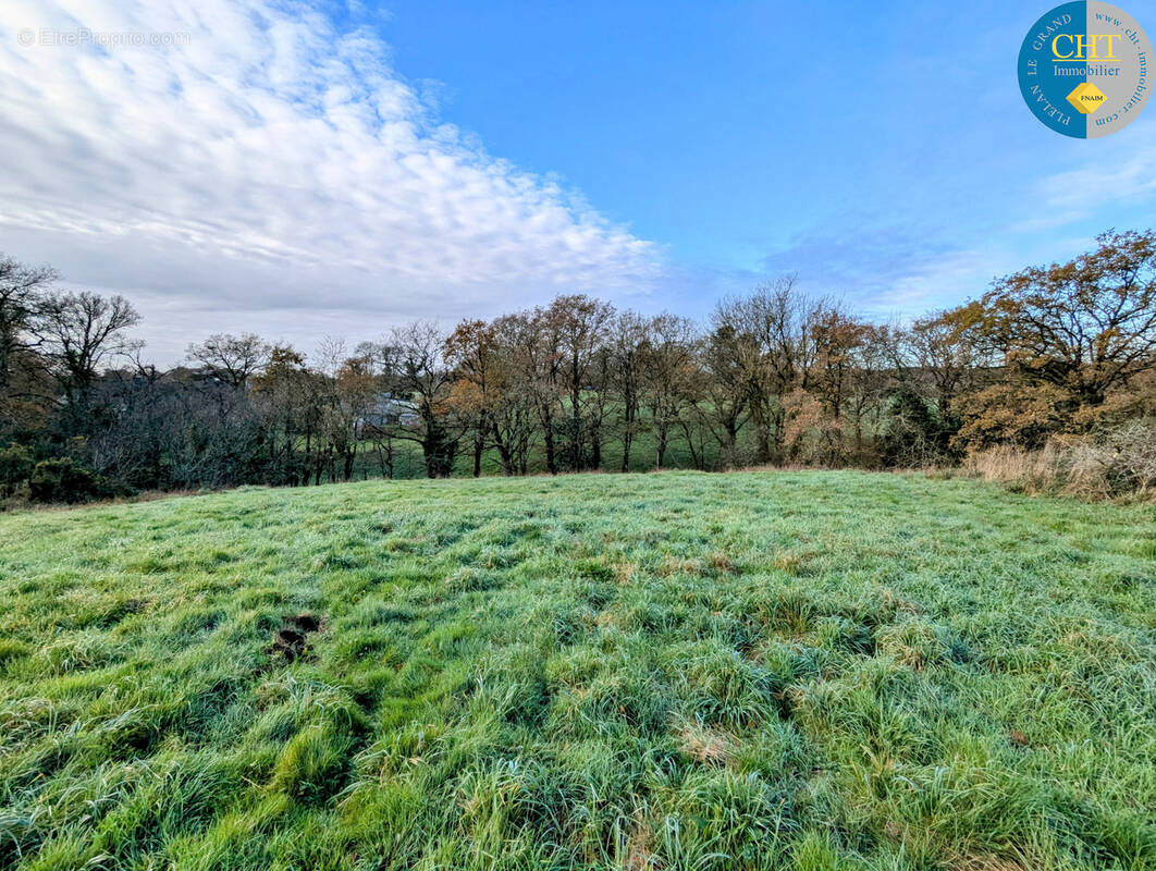 Terrain à MONTENEUF