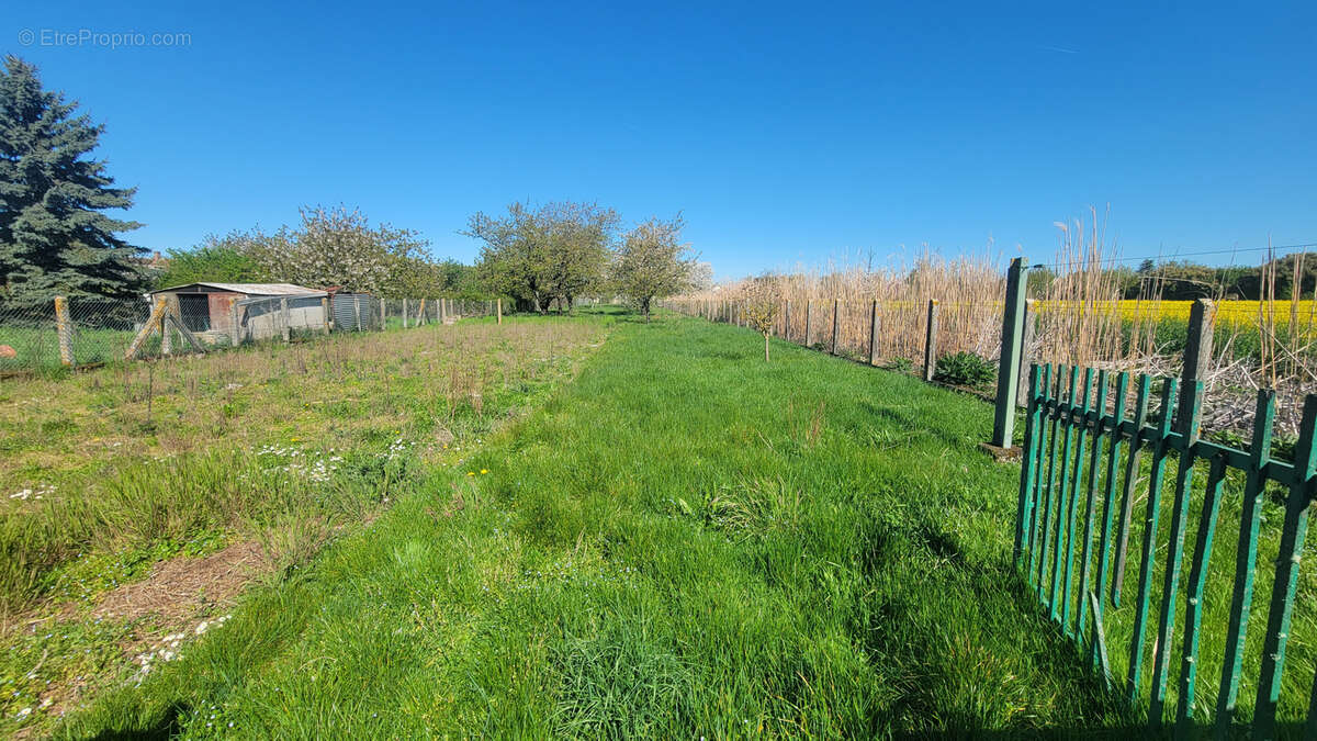 Maison à BAZOCHES-LES-BRAY