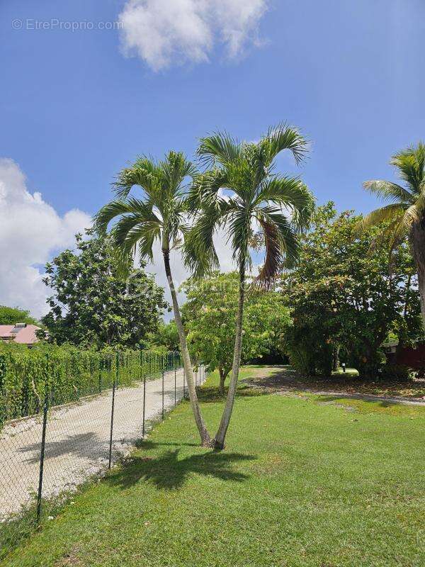 Maison à SAINT-FRANCOIS