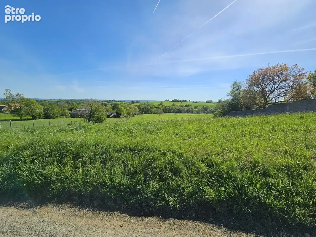Terrain 1 466 m² à vendre à Oueilloux (65190) - photo 2