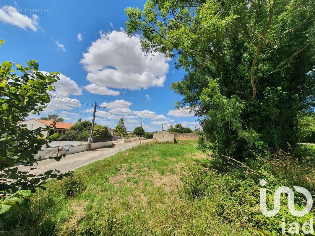 Photo 6 - Terrain à LE CHAMP-SAINT-PERE