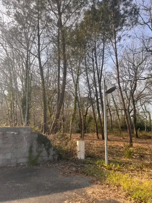 Terrain 1 000 m² à vendre à Landiras (33720) - photo 3