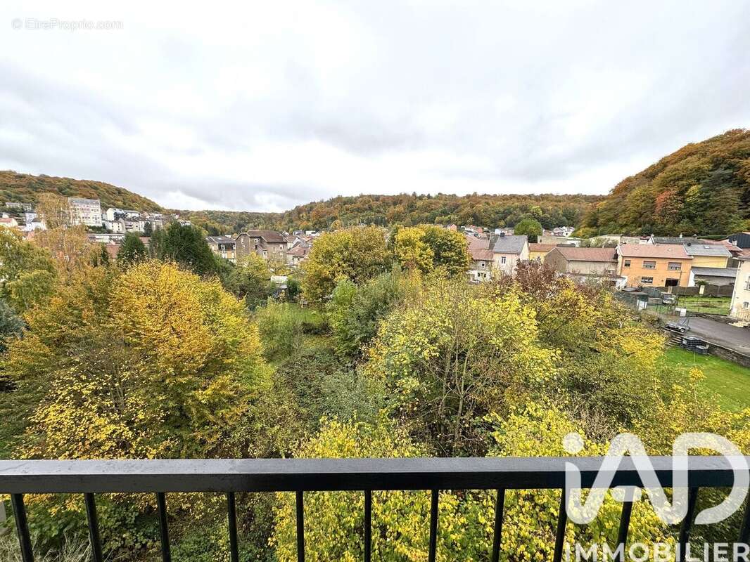 Photo 6 - Appartement à AUDUN-LE-TICHE