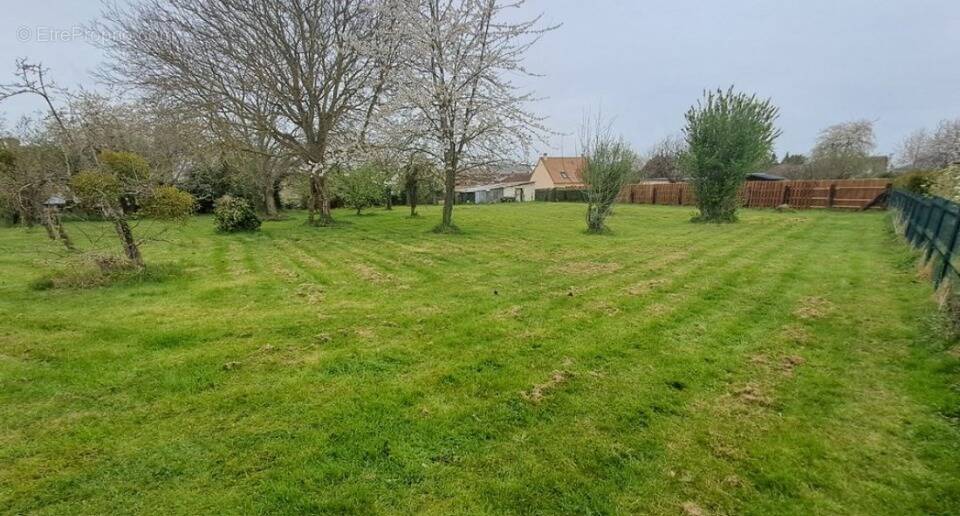 Terrain à VIEUX-FUME