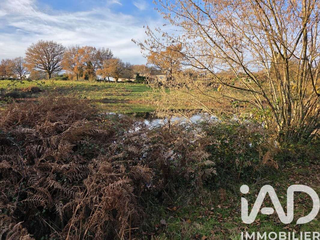 Photo 6 - Terrain à LE BUIS