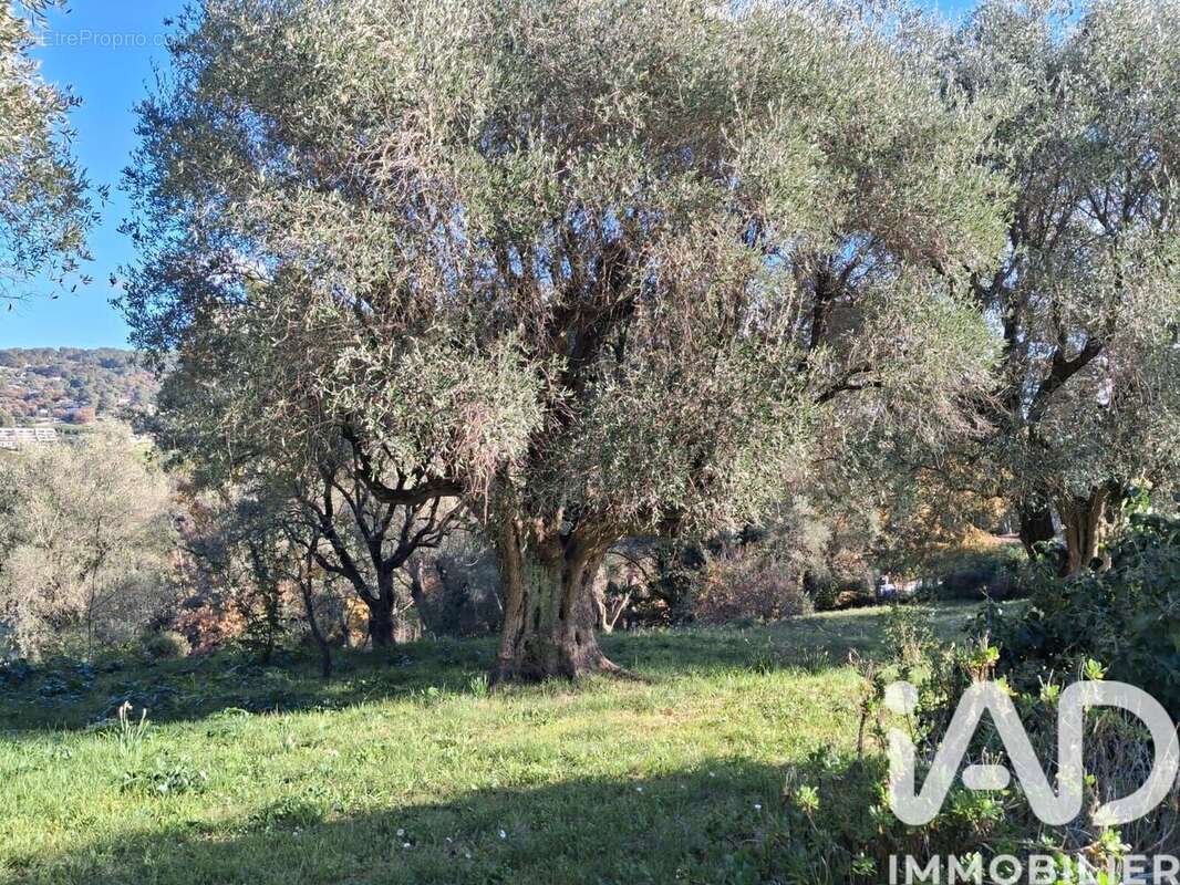 Photo 3 - Terrain à LA ROQUETTE-SUR-SIAGNE