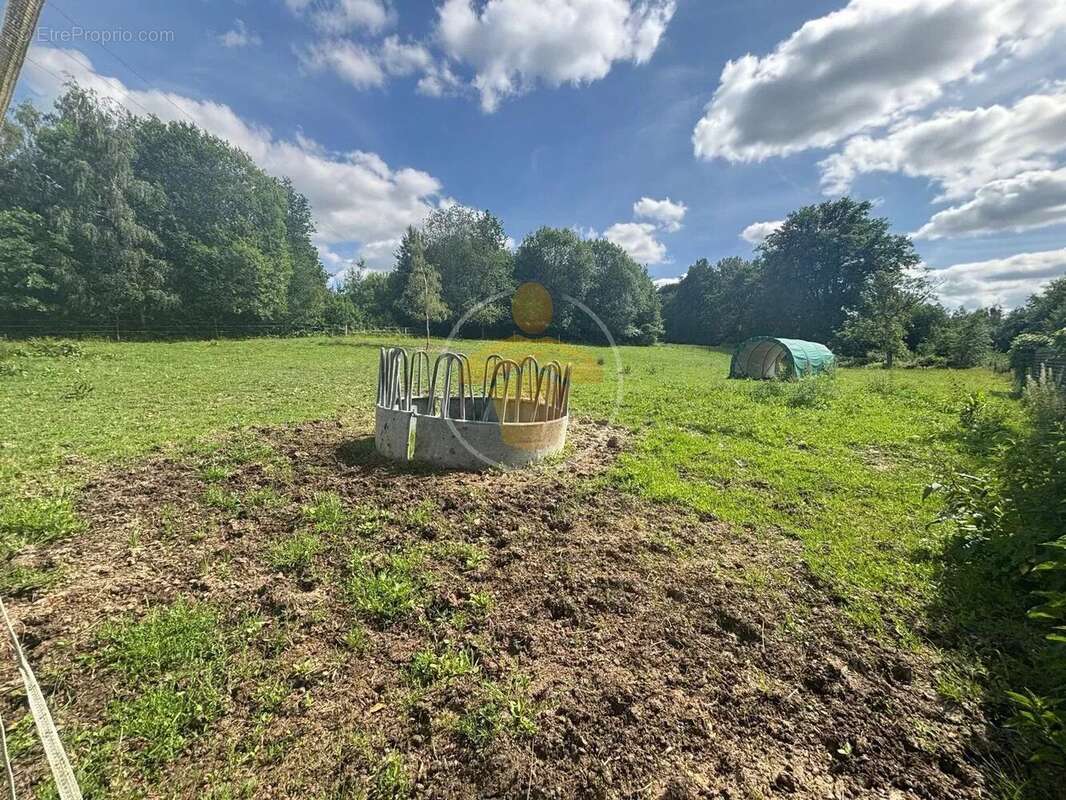 Vente Terrain Saint-nicolas-aux-bois(02410) 53 900ï¿œ - photo 4