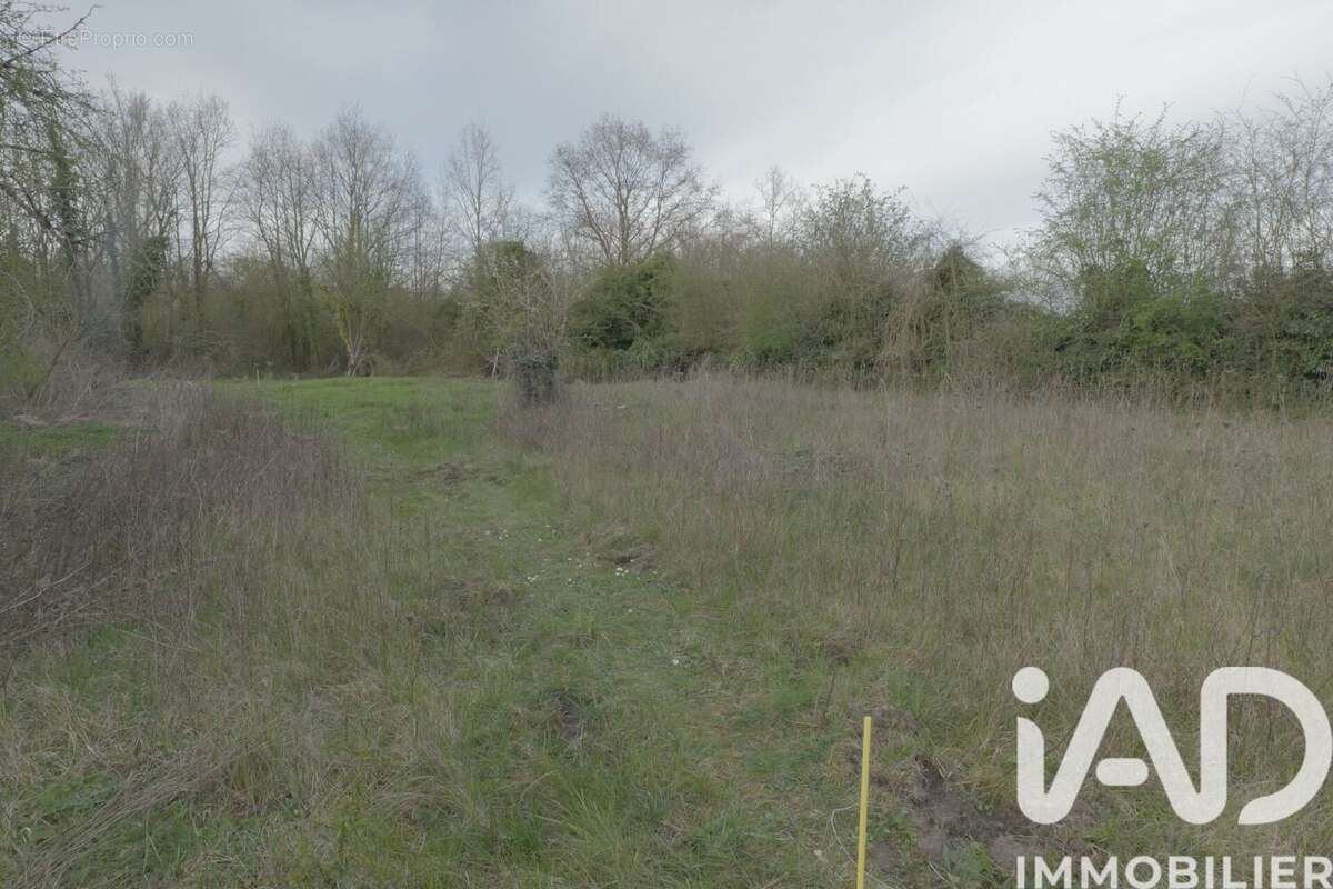 Photo 9 - Terrain à NEUVILLE-SUR-OISE