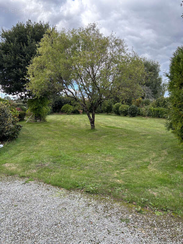 Terrain à SAINT-EVARZEC