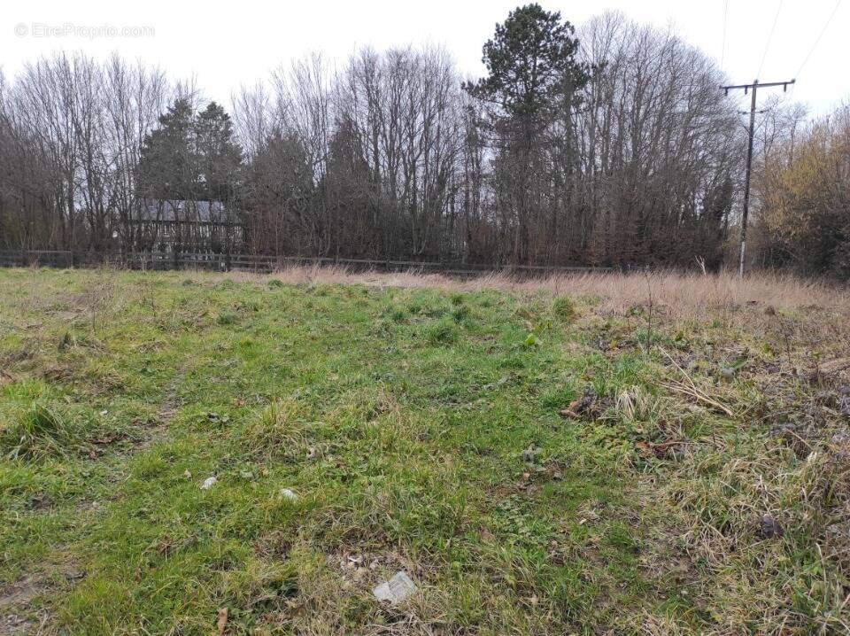 Terrain à REUX