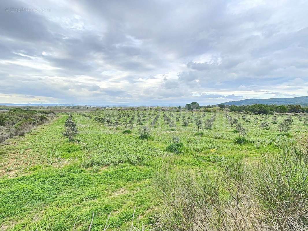 Terrain à LEZIGNAN-CORBIERES