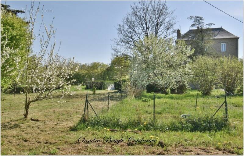 Maison à MARTIGNE-SUR-MAYENNE