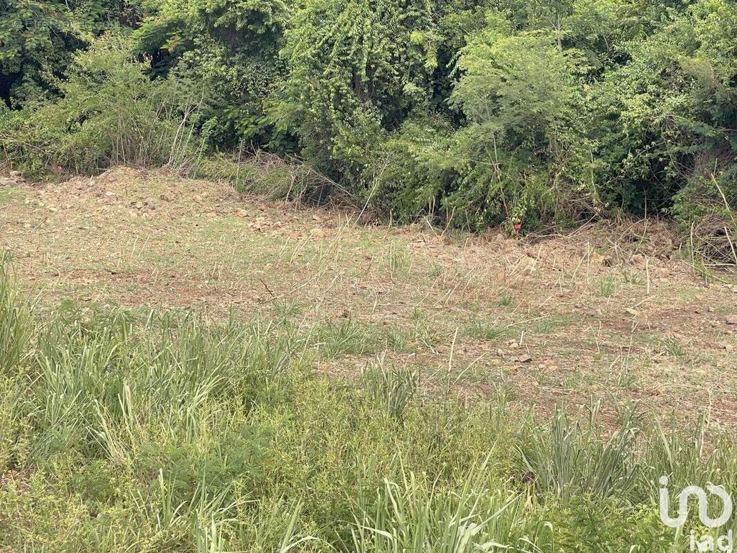 Photo 8 - Terrain à VIEUX-HABITANTS