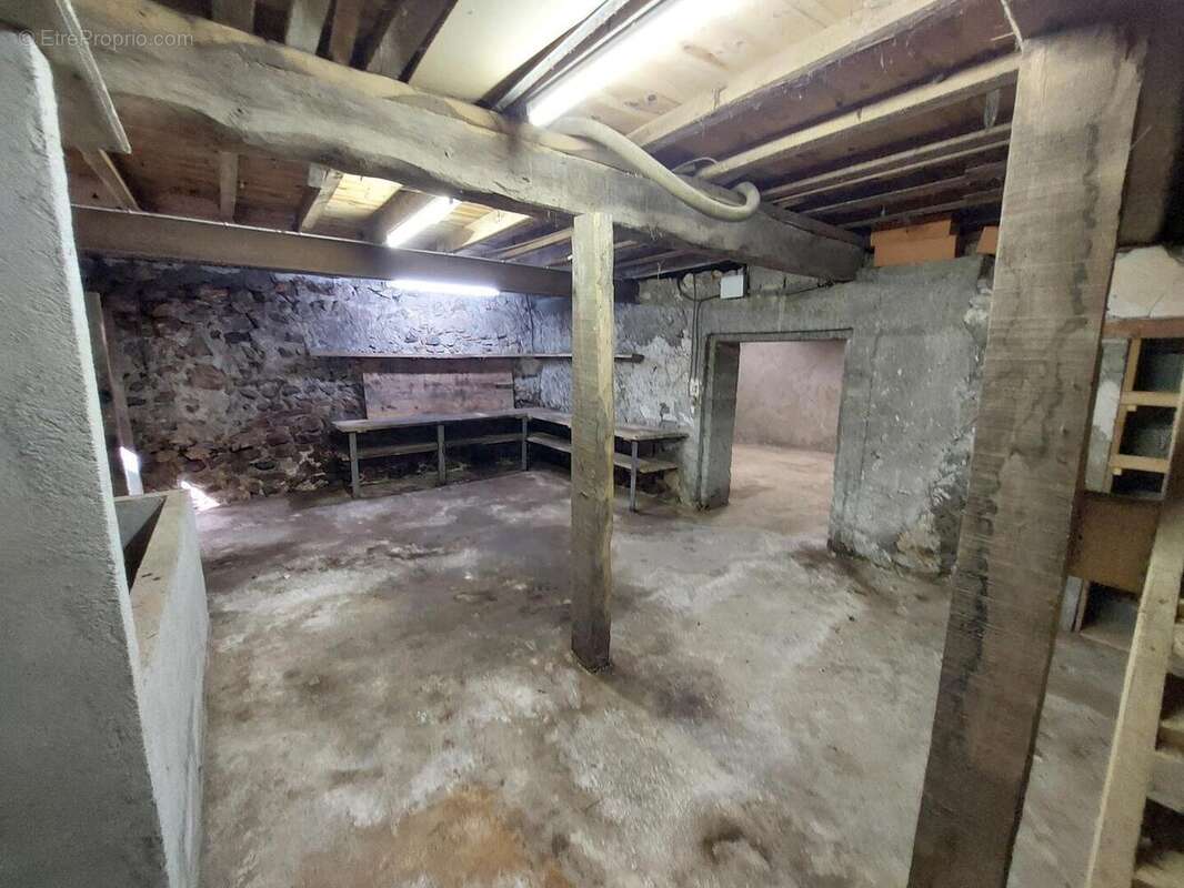 20250618102813 - Maison à SAINT-MARTORY