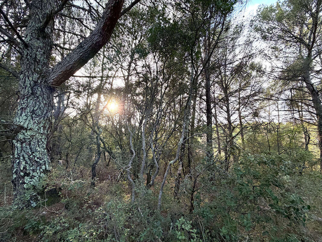 Terrain à BARJOLS