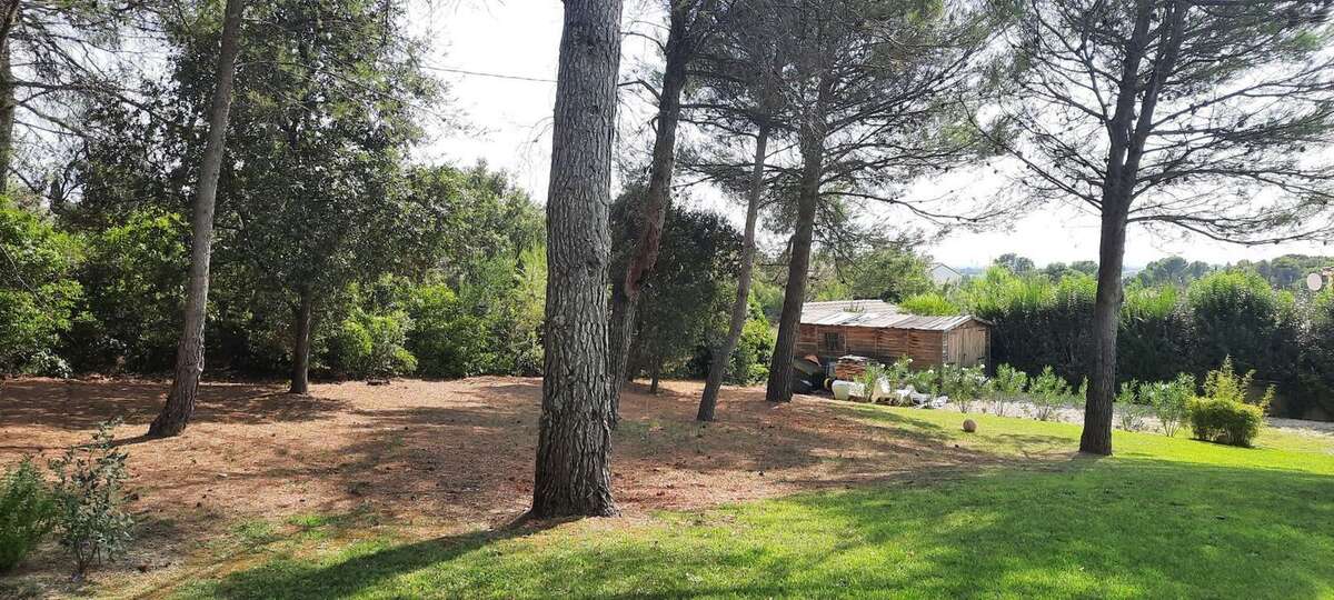 Projet de construction d'une maison  m² avec terrain à CARPENTRAS (84) - photo 2