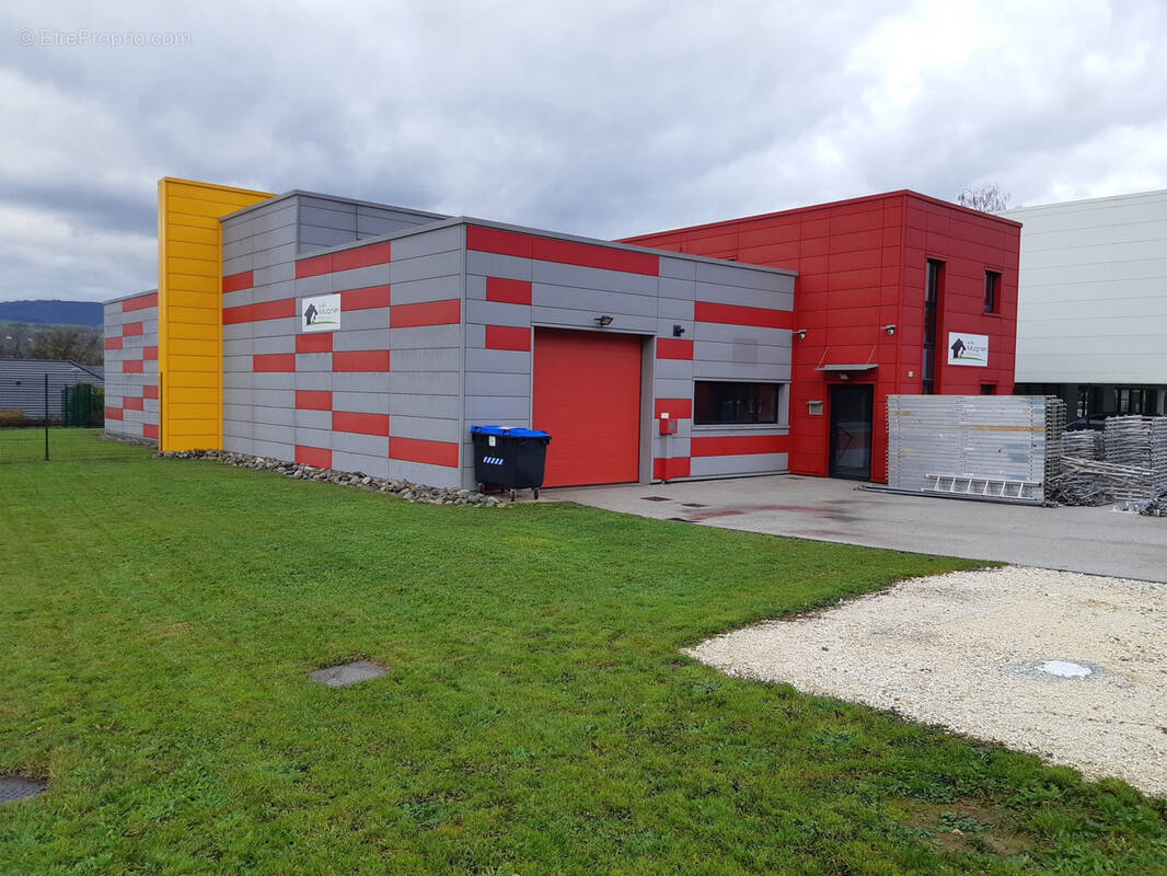 Commerce à SAINT-FELIX