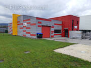 Commerce à SAINT-FELIX