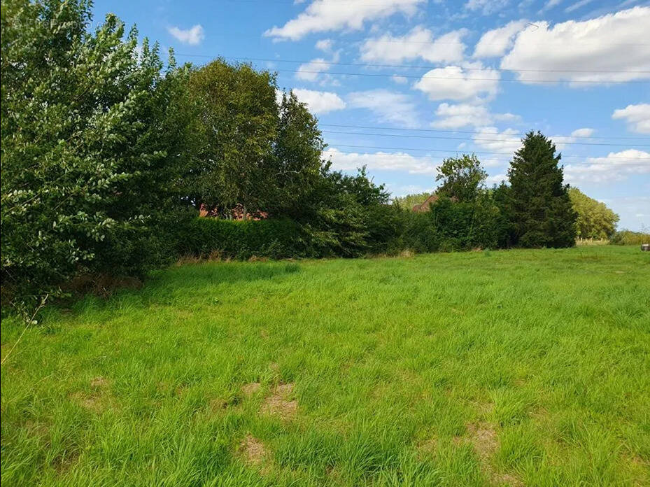 Terrain à RAIMBEAUCOURT