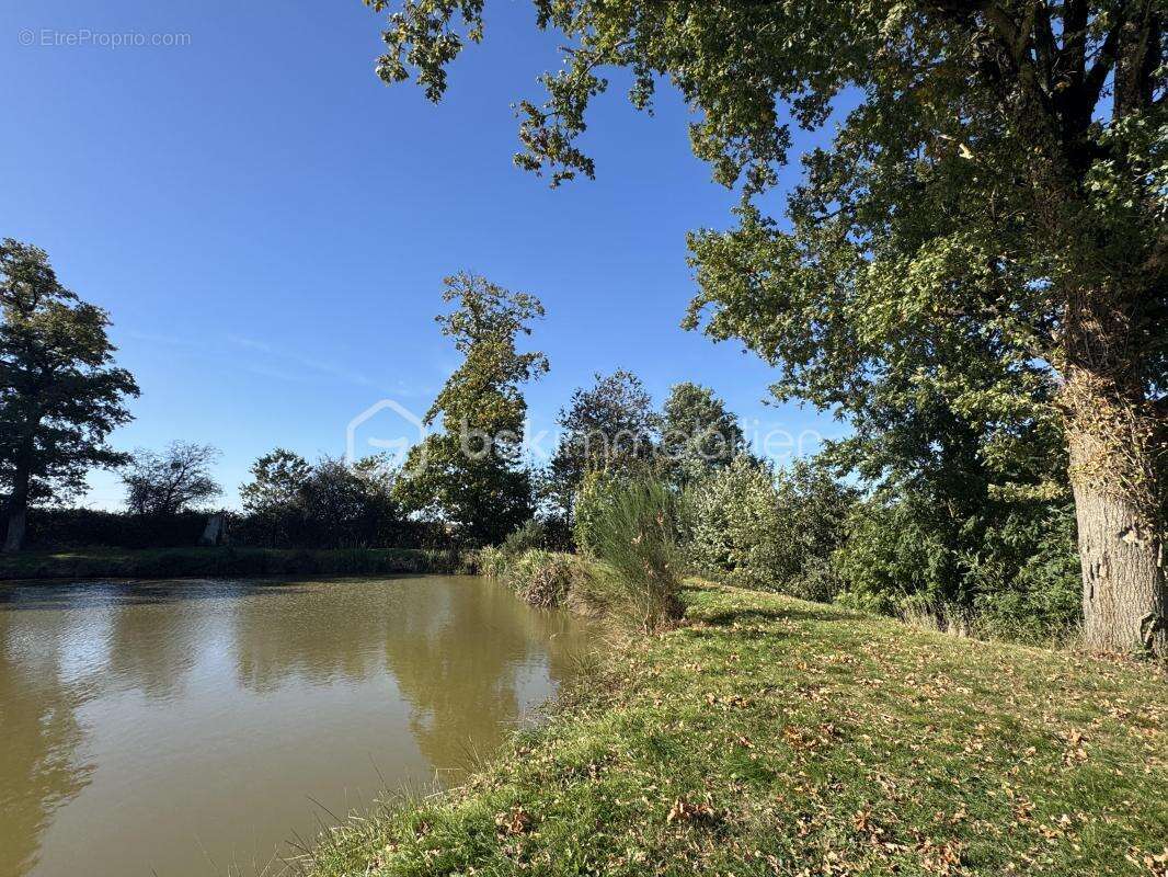 Terrain à SAINT-PIERRE-LA-COUR
