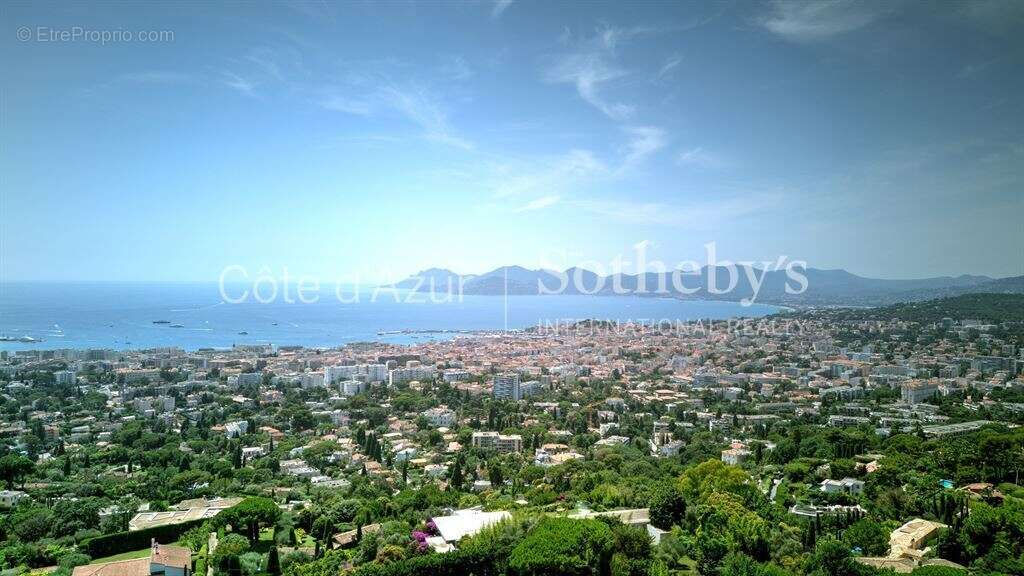 Cannes Californie, villa d'inspiration Couëlle avec vue panoramique, piscine et maison d'invités - photo 20