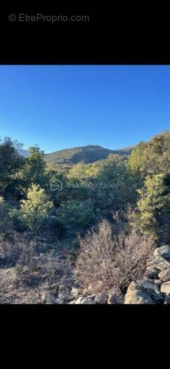 Terrain à CATLLAR