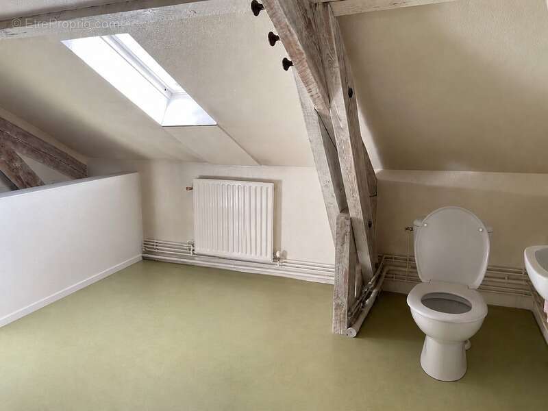 Grand appartement familial de 206 m2 au sol - Avenue Garibaldi, Limoges - photo 19