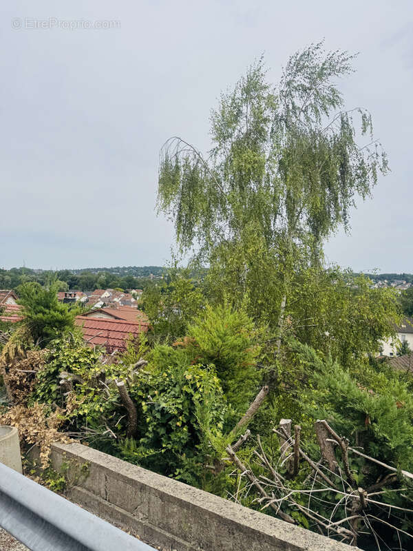 Hauteurs Didenheim, spécial investisseurs - photo 2